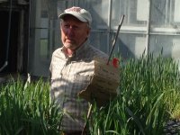 Mark Sorrells, chairma of Cornell Unversity's depment of plant breeding and genetics, looks over a test bed of barley last fall. Hs is part of research to find the best vareity of barley to grow in the state to support growth in microbreweries and distilleries.