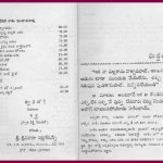 Telugu novels