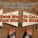 Are novels always fiction